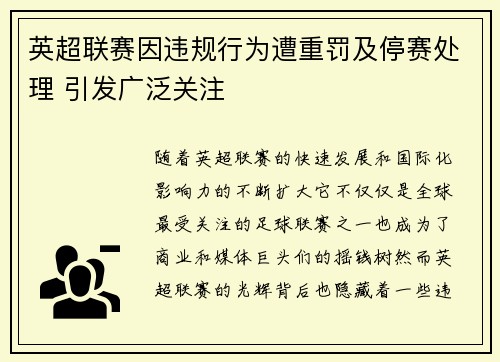 英超联赛因违规行为遭重罚及停赛处理 引发广泛关注